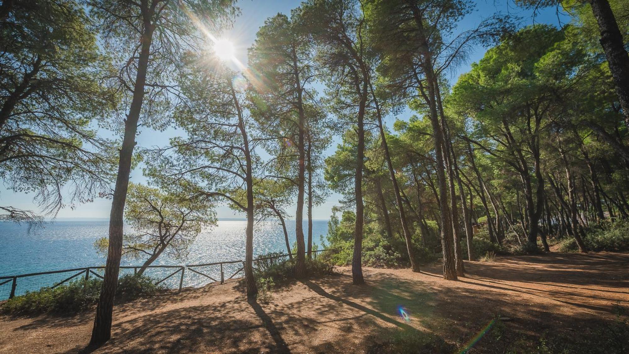 Squirrel Beach Front Villa, Metamorfosi Bagian luar foto